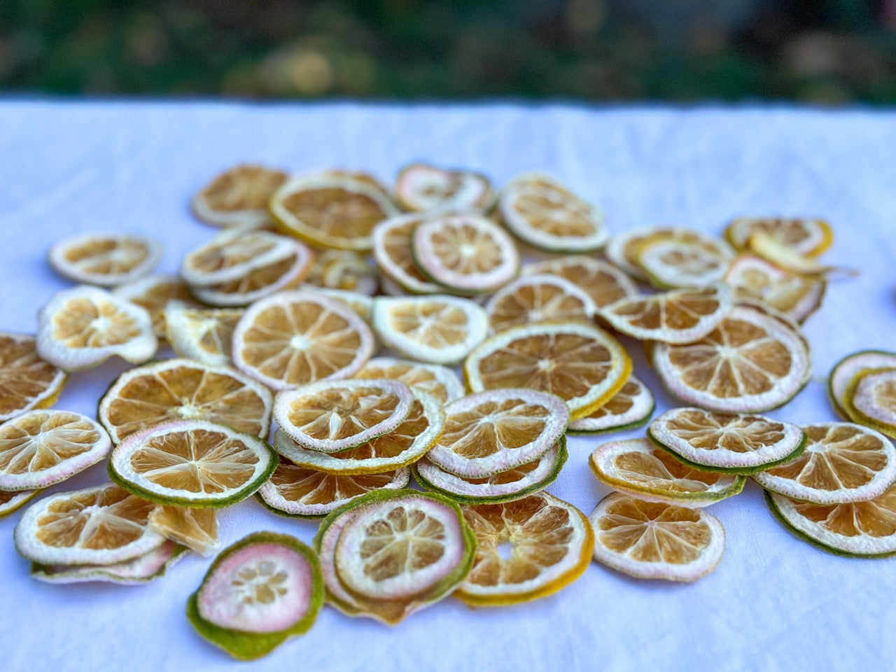 Limón deshidratado 40g