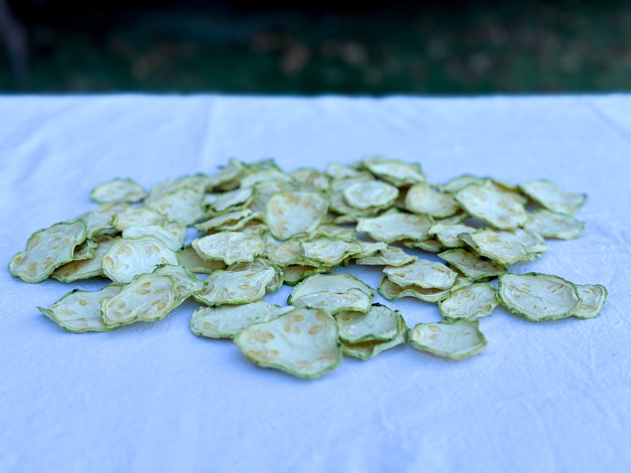 Zapallo Italiano deshidratado 70g